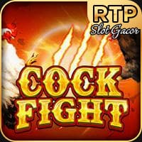 RTP jdb solidplay99